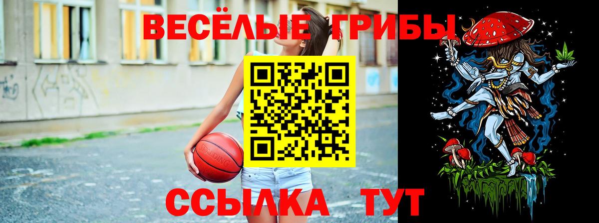как найти закладки  Вход с VPN  Семилуки  Галлюциногенные грибы Cubensis 